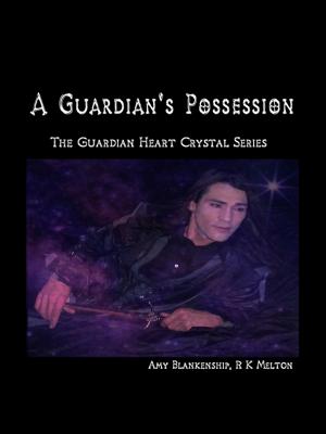 A Guardian's Possession - Amy Blankenship 