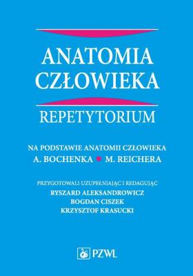 Anatomia człowieka. Repetytorium - Ryszard Aleksandrowicz 