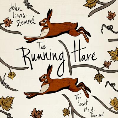 Running Hare - John  Lewis-Stempel 