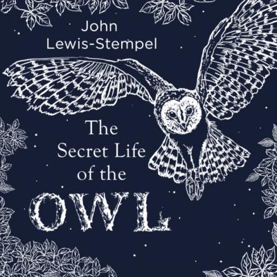 Secret Life of the Owl - John  Lewis-Stempel 
