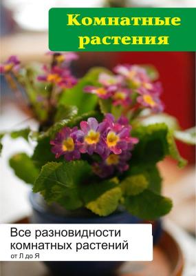 Все разновидности комнатных растений (от Л до Я) - Илья Мельников Комнатные растения