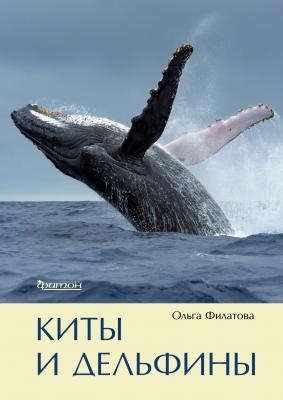 Киты и дельфины - Ольга Филатова 