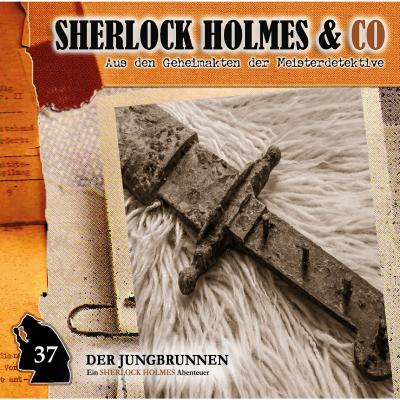 Sherlock Holmes & Co, Folge 37: Der Jungbrunnen, Episode 2 - Markus Topf 