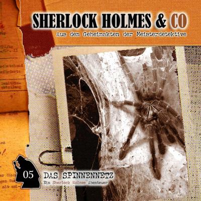 Sherlock Holmes & Co, Folge 5: Das Spinnennetz - Markus Winter 