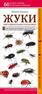 Жуки. Мир удивительных насекомых - Михаил Куценко Природа в кармане