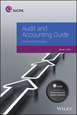 Auditing and Accounting Guide - Группа авторов 