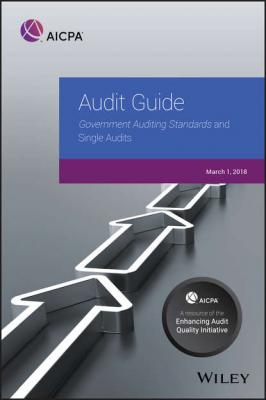 Audit Guide - Группа авторов 