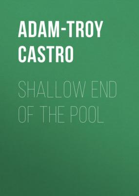 Shallow End of the Pool - Adam-Troy  Castro 