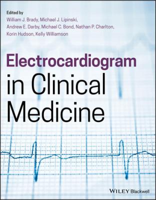 Electrocardiogram in Clinical Medicine - Группа авторов 
