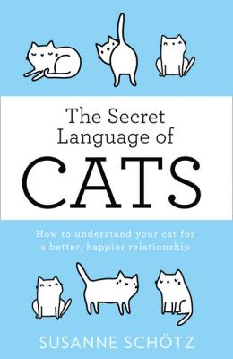 The Secret Language Of Cats - Susanne Schötz HQ Fiction eBook
