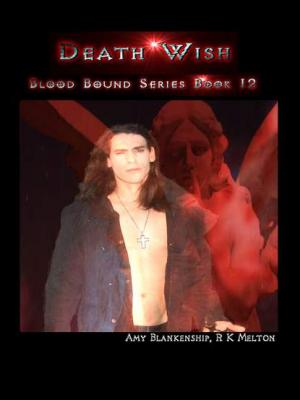 Death Wish  - Amy Blankenship Blood Bound Book