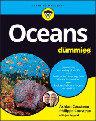 Oceans For Dummies - Joseph Kraynak 