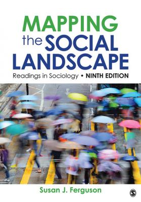Mapping the Social Landscape - Группа авторов 