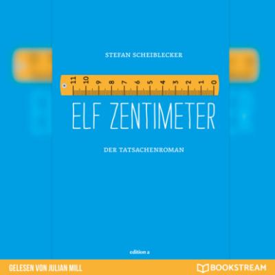 Elf Zentimeter - Der Tatsachenroman (Ungekürzt) - Stefan Scheiblecker 