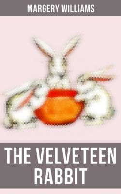The Velveteen Rabbit - Margery Williams 
