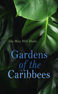 Gardens of the Caribbees - Ida May Hill Starr 