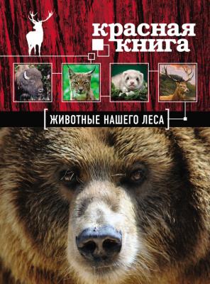 Красная книга. Животные нашего леса - А. Д. Очеретний Красная книга для больших и маленьких