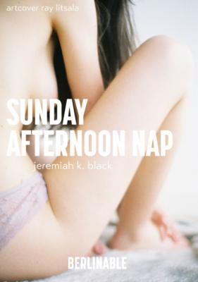 A Sunday Afternoon Nap - Jeremiah K. Black 