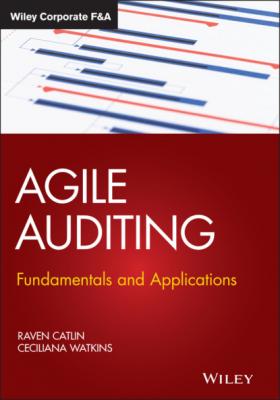 Agile Auditing - Raven Catlin 