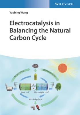 Electrocatalysis in Balancing the Natural Carbon Cycle - Yaobing Wang 