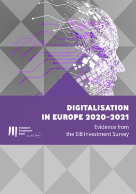 Digitalisation in Europe 2020-2021 - Группа авторов