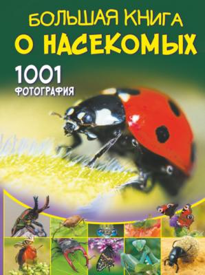Большая книга о насекомых. 1001 фотография - А. А. Спектор Большая книга обо всём