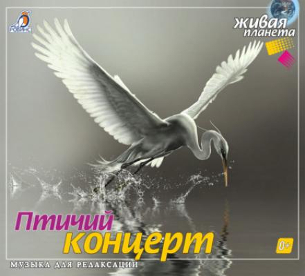 Птичий концерт - А. В. Тихонов 